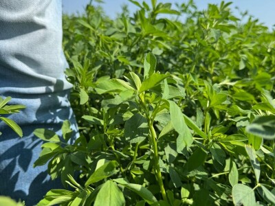 Farma Bilodar d.o.o. u Gudovcu