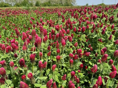 Farma Bilodar d.o.o. u Gudovcu