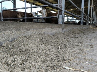 Farma Bilodar d.o.o. u Gudovcu