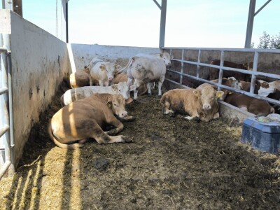 Farma Bilodar d.o.o. u Gudovcu