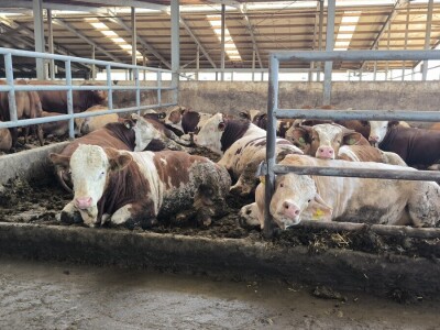 Farma Bilodar d.o.o. u Gudovcu