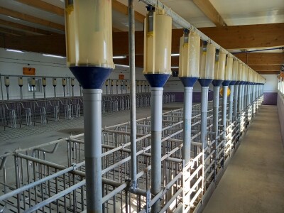 Farma "Braća Parlagić"