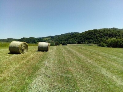 Farma Brkić iz Blatne