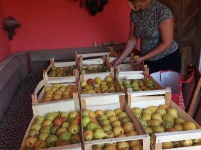 Farma Brkić iz Blatne