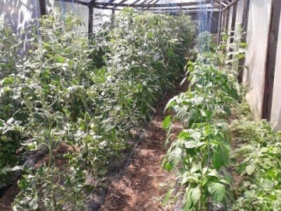 Farma Brkić iz Blatne