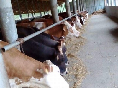 Farma Brkić iz Blatne