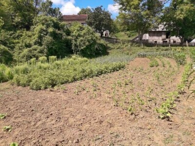 Farma Brkić iz Blatne