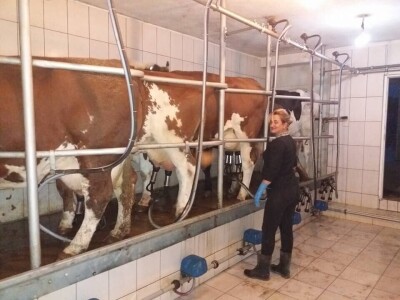 Farma Brkić iz Blatne