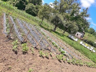 Farma Brkić iz Blatne