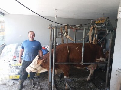 Farma Brkić iz Blatne