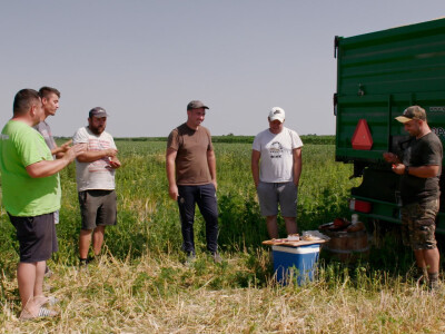 Farma crnih svinja Domagoja Vide Farma crnih svinja Domagoja Vide