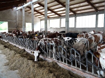 Farma Dejana Simića iz Grabik Ilove