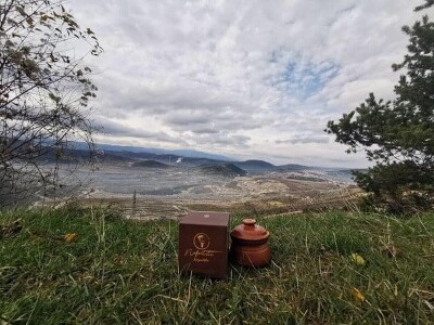 Farma domaćeg balkanskog magarca u srcu Šumadije