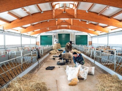 Farma Hacienda de la Vida kod Kiseljaka