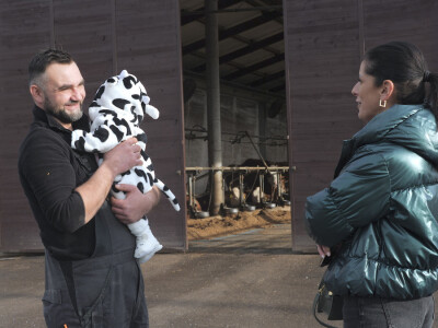 Farma "Janjić Simental Breed" u Jenjiću kod Orašja
