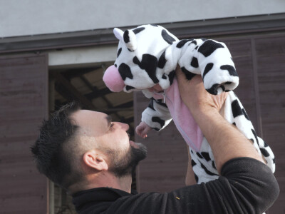Farma "Janjić Simental Breed" u Jenjiću kod Orašja
