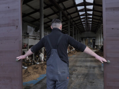 Farma "Janjić Simental Breed" u Jenjiću kod Orašja