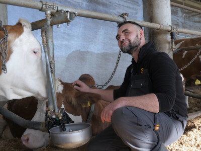 Farma "Janjić Simental Breed" u Jenjiću kod Orašja