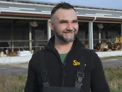 Farma "Janjić Simental Breed" u Jenjiću kod Orašja