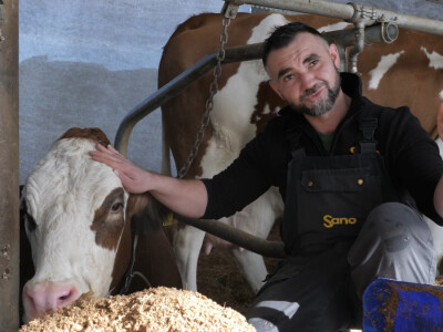 Farma "Janjić Simental Breed" u Jenjiću kod Orašja