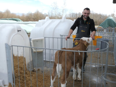 Farma "Janjić Simental Breed" u Jenjiću kod Orašja
