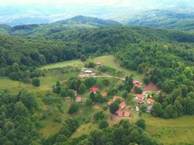 Farma japanskih goveda