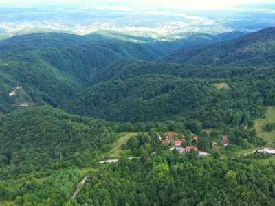 Farma japanskih goveda