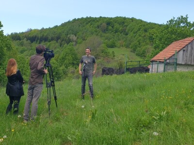 Farma japanskih goveda