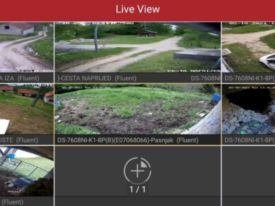 Farma japanskih goveda