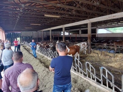 Farma Jokić Farma Jokić