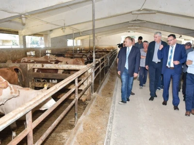 Farma junadi Šumbar