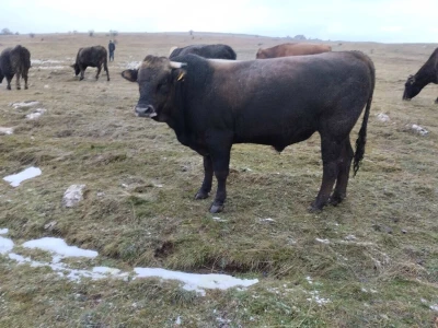 Farma KM Glamoč