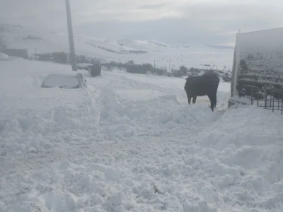 Farma KM Glamoč