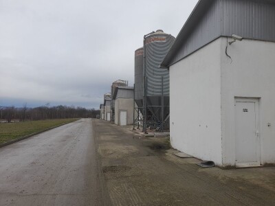 Farma koka nosilica na Farmi Bingo Farma koka nosilica na Farmi Bingo