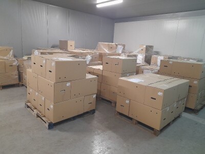 Farma koka nosilica na Farmi Bingo Farma koka nosilica na Farmi Bingo