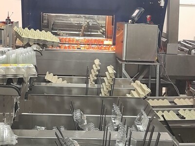 Farma koka nosilica na Farmi Bingo Farma koka nosilica na Farmi Bingo