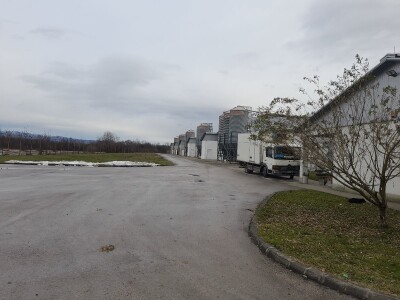 Farma koka nosilica na Farmi Bingo Farma koka nosilica na Farmi Bingo