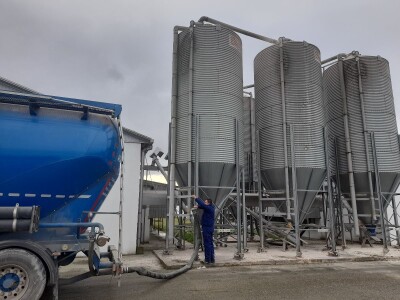 Farma koka nosilica na Farmi Bingo Farma koka nosilica na Farmi Bingo