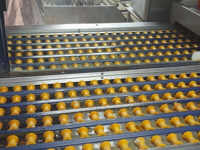 Farma koka nosilica na Farmi Bingo Farma koka nosilica na Farmi Bingo