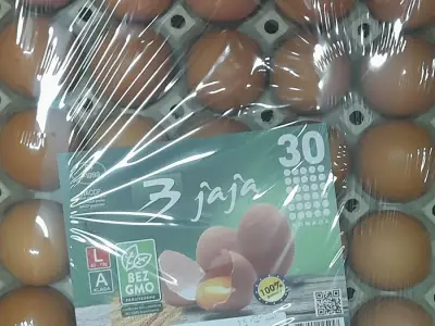 Farma koka nosilica na Farmi Bingo