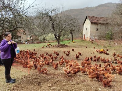 Farma koka u Prozor-Rami