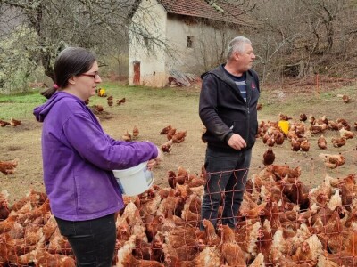 Farma koka u Prozor-Rami