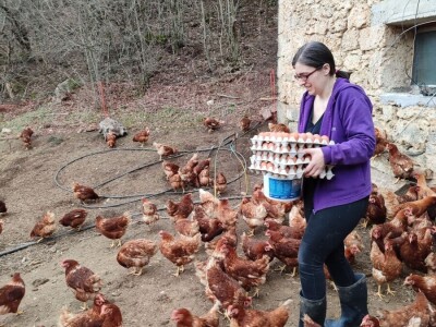 Farma koka u Prozor-Rami