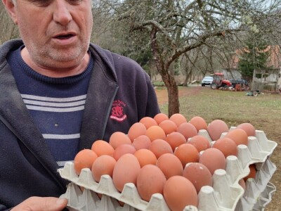 Farma koka u Prozor-Rami