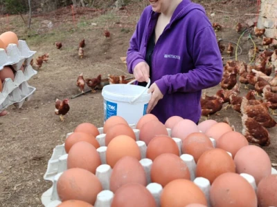 Farma koka u Prozor-Rami