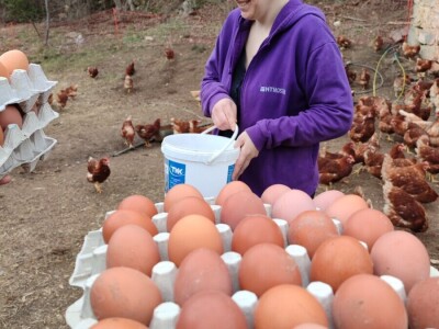 Farma koka u Prozor-Rami