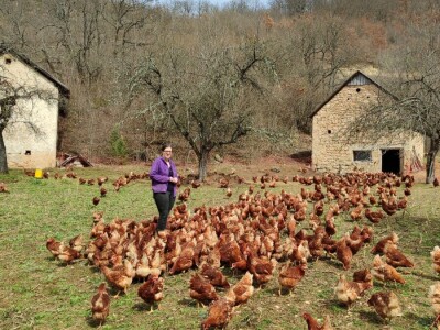 Farma koka u Prozor-Rami