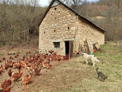 Farma koka u Prozor-Rami