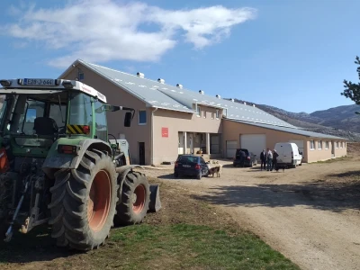 Farma koza Duvno