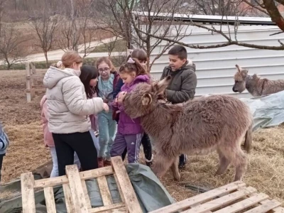 Farma koza i ovaca "Brusojević"